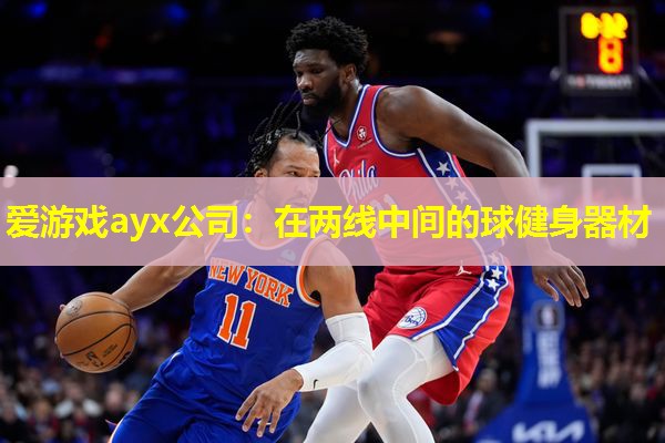 爱游戏ayx公司：在两线中间的球健身器材