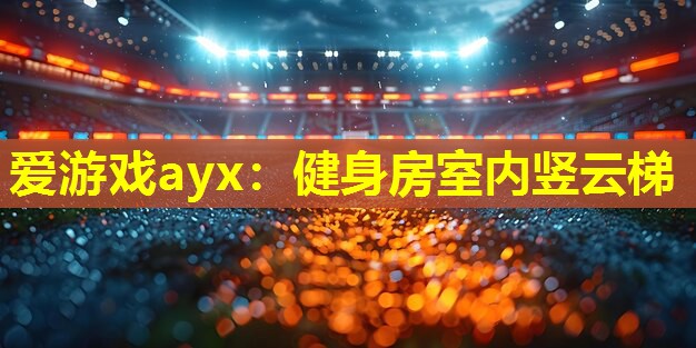 爱游戏ayx：健身房室内竖云梯